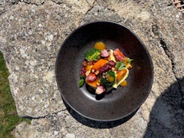 Un jardin sur le toit Poulpe.jpeg